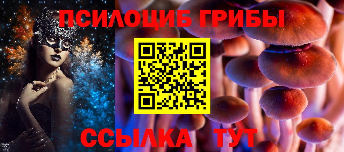 Псилоцибиновые грибы GOLDEN TEACHER Южноуральск